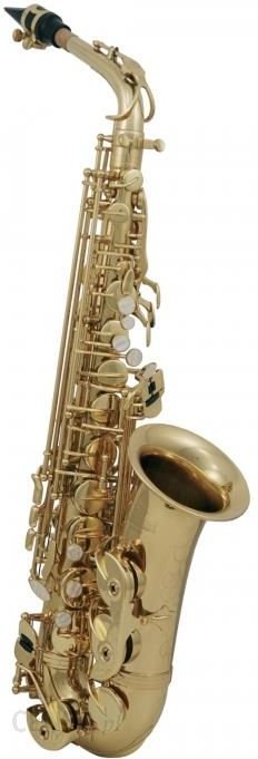 Roy Benson (RB700601) Saksofon altowy w stroju Eb AS-202 Ok24-804761 фото