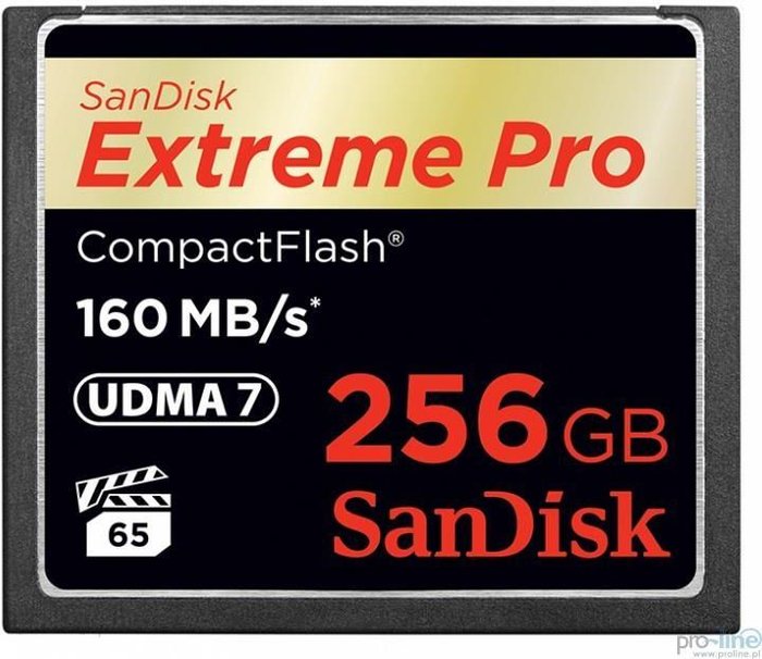 SanDisk Extreme Pro CompactFlash 256GB UDMA7 (SDCFXPS-256G-X46) Ok24-776367 фото