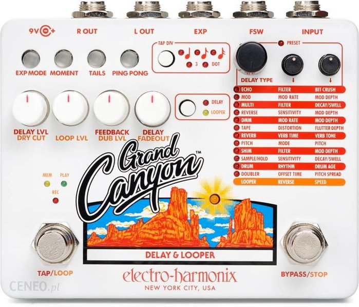 Electro Harmonix Grand Canyon Delay & Looper - efekt gitarowy Ok24-810573 фото