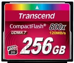 Transcend CompactFlash 256GB 800x UDMA7 (TS256GCF800) Ok24-776327 фото