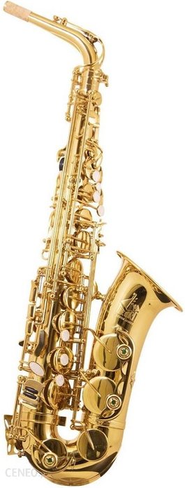 Saksofon altowy Trevor James The Horn 3730G Ok24-804780 фото